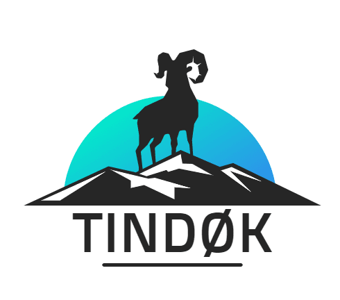 Tindøk